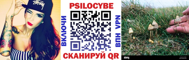 что такое наркотик  Кореновск  Галлюциногенные грибы MAGIC MUSHROOMS 